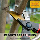 Garden Shears, Sharp Pruners for Gardening with Locking Mechanism, Ideal for Trimming, Harvesting by GreenHaven Gardens