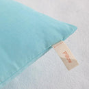 NTBAY Toddler Pillows, Down Alternative 13"x18" Pillows, Machine Washable - Soft and Breathable Travel Small Pillows for Sleeping, Ideal for Daycare, Crib, Cot, Aqua by TinyTreasures Baby Boutique