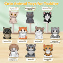 Learning Toy for Toddlers 1 2 3 Year Old, 20 Pcs Cat Toys for Kids, Counting, Matching & Sorting Montessori Educational Sensory Toys, Christmas Birthday Easter Gift for Baby Boy Girl 1-3 by TinyTreasures Baby Boutique