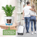 10/9/8 inch Self Watering Pots, Set of 3 Plastic Planters with Mesh Drainage Holes and Deep Reservoir for Indoor Outdoor Garden Plants and Flowers, White