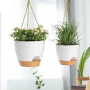 ZMTECH 10 Inch Hanging Planters for Indoor Outdoor Plants, 2 Pack Self Watering Hanging Plant Pots with Drainage Holes and Removable Saucer, Plastic Flower Hanging Pots with Watering Lip (White) by CozyNest Decor