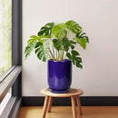 Ceramic Plant Pot - 8 Inch Planter for Indoor Plants Outdoor Flower Pot with Drainage Hole and Saucer Home Patio Office Decor Blue by GreenHaven Gardens