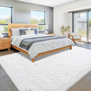 6x9 Area Rug for Living Room: Fluffy Shag Soft Washable Rugs Large Fuzzy Plush Indoor Carpet for Bedroom Nursery Playroom Kids Girls Boys Room (White, 6'x9') by TinyTreasures Baby Boutique