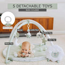 6-in-1 XL Play Mat & Play Gym, Baby Gym, Baby Activity Gym, Sensory Exploration and Motor Skill Development Toys (Sage) by TinyTreasures Baby Boutique