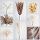 128 PCS Dried Pampas Grass Bouquet, Boho Table Decor, Bunny Tails Dried Flowers, Brown Pampas, White Pampas Grass for Weddings, Home Decor, Rustic Parties, and Baby Shower Decorations by CozyNest Decor