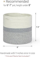Dahey Jute Cotton Rope Plant Basket Mini Woven Storage Basket for Up to 7" Planter, Decorative Flower Pot Cover Closet Storage Bin Table Desk Organizer Modern Home Decor, Grey by GreenHaven Gardens
