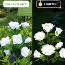 DWH 1 Pack Solar Garden Lights Outdoor, 7-Flower Rose Solar Lights for Yard, LED Solar Powered Stake Lights for Patio Pathway Lawn Fence Cemetery, White by GreenHaven Gardens