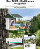 Bird Feeder with Camera-2K Live Video, Solar-Powered, Smart AI Identify Birds, 2L Food Capacity, Arrived Alerts, Bird Videos Storage, Mini Hummingbird Feeder for Watching Birds Outdoor by CozyNest Decor
