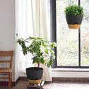 ZMTECH 12 Inch Hanging Planters for Indoor Outdoor Plants, 1 Pack Self Watering Hanging Plant Pots with Drainage Holes and Removable Saucer, Plastic Flower Hanging Pots with Watering Lip (Black) by CozyNest Decor