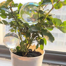 Plant Watering Globes, 6PCS Iridescent Rainbow Gradient Color Clear Glass Bulbs Self Watering Spikes Planter Insert, Automatic Plant Waterer Bulbs Devices for Various Plants by GreenHaven Gardens