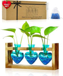 Nacome Plant Terrarium for Office Decor: Wooden Stand Tabletop Planter 3 Bulb Glass Vase Heart Shaped for Hydroponics Indoor Home - Birthday Gifts for Women Mom Grandma by GreenHaven Gardens