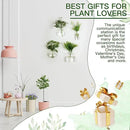 Baderke 4 Pcs Wall Hanging Planter Wall Window Propagation Station Hanging Planter Glass Terrarium Container Plant Propagation Station Vase for Garden Office Decor(Geometric) by GreenHaven Gardens