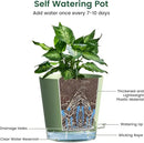 6 inch Self Watering Pots for Indoor Outdoor Plants, 3 Pack Flower Plant Pots with Drainage Holes and Clear Reservoirs, Visible Water Level, Plastic Planters with Wicking Rope, Green by CozyNest Decor