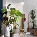 HMVPL Grow Lights for Indoor Plants Full Spectrum, Plant Lights for Indoor Growing with 20W COB Grow Light Blub, 4/8/12H Timer, Standing Tall Grow Lamp for Middle Large Plants(75'', Height Adjustable) by GreenHaven Gardens
