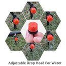 Garden 50Ft Automatic Micro Irrigation System, 1/4" Blank Distribution Plant Watering Irrigation Kit Accessories Include Atomizing Nozzle Mister Dripper for Garden Flower Bed,Patio,Lawn … by GreenHaven Gardens