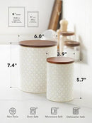 LE TAUCI Food Storage Containers with Airtight Lids, 78/25 oz Ceramic Sugar Canisters Sets, Embossed Large Jars for Pasta, Oats, Coffee Bean, Cookies, Rice, Grains, Tea - Set of 2, Fireworks by CozyNest Decor
