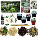 Cute Farms Terrarium Starter Kit | Moss, Vermiculite, Soil, Pebbles, Plant Food, & Finishing Tools (Large + 8 Live Plants) by CozyNest Decor