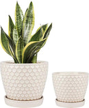 Docrin Ceramic Plant Pots Indoor: 6.6 + 5.5 Inch Planters with Drainage Holes and Saucer for Home/Office - Set of 2 /Milky White Honeycomb by GreenHaven Gardens