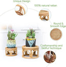 Set of 2 Small Boho Rattan Wicker Round Riser Plant Stand Indoor,Rustic Farmhouse Natural Wooden Circle Pedestal for Decor & Display, Tabletop, Office Decor by GreenHaven Gardens