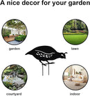 jojofuny 4pcs Garden Quail Stake Bird Yard Art Metal Statue Decor Animals Silhouette Outdoor Decoration Courtyard Ornaments for Lawns Backyard Patio Backyard Pathway by GreenHaven Gardens