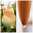 4 Pack Terra Cotta Watering Spikes, Owl Shape Terracotta Watering Spike, Vacation Self Watering Planter Insert, Automatic Plant Waterer for Indoor Outdoor Plants by GreenHaven Gardens