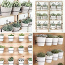 6 Pack 4in Flower Pot Holder Ring Wall Mounted Metal Planter Hooks Hangers Wall Bracket by GreenHaven Gardens
