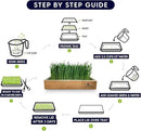 Cat Grass Refills for Self Watering Cat Grass Kit - 4 Mats and 4 Cat Grass Seed Packets (Cat Grass Refill Kit) by GreenHaven Gardens