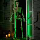JOYIN 6.9 FT Halloween Skeleton Posable Plastic Full Body Realistic Human Bones with Movable Joints for Indoor Outdoor Halloween Props Spooky Scene Party Decorations（Yellow,No Screwdriver） by GreenHaven Gardens