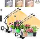 Grow Lights for Indoor Plants, Full Spectrum LED Plant Lamps with Clips and 3m Cables for Seeding Growing(2 Pack) by GreenHaven Gardens