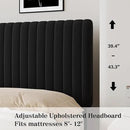 Queen Bed Frame, Velvet Upholstered Platform Bed with Vertical Channel Tufted Headboard, No Box Spring Required, Easy Assembly, Black by CozyNest Decor