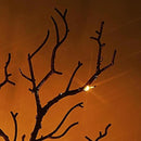 Birchlitland Halloween Branch Lights with Timer Battery Operated 75 LED Orange Fairy Lights, Lighted Black Willow Branches 21IN for Home Decor by CozyNest Decor
