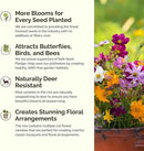 Eden Brothers Crazy for Cosmos Flower Mixed Seeds for Planting, 10 lb, 4,800,000+ Seeds with Cosmos Gloria, Pinkie, Purity, Attracts Pollinators, Plant in Spring or Fall, Zones 3, 4, 5, 6, 7, 8, 9, 10 by GreenHaven Gardens