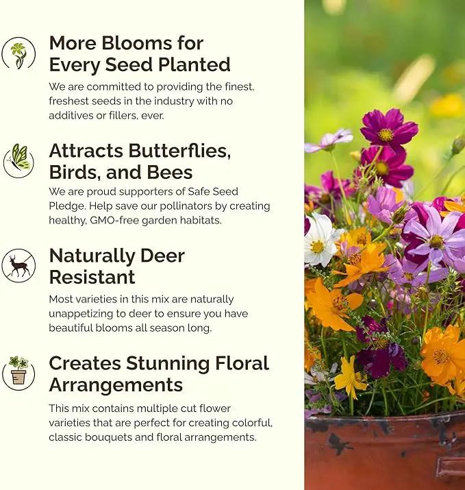 Eden Brothers Crazy for Cosmos Flower Mixed Seeds for Planting, 50 lb, 24,000,000+ Seeds with Cosmos Gloria, Pinkie, Purity, Attracts Pollinators, Plant in Spring or Fall, Zone 3, 4, 5, 6, 7, 8, 9, 10, photo 4 of 6
