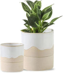 Nihow Self Watering Plant Pot for Indoor Plants: 4.5+6 Inch Ceramic Planter with Drainage Hole & Water Storage Plus - Cylinder Flower Pot with Wick for Herbs -White & Nature by CozyNest Decor