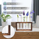Desktop Glass Plant Propagation Station with 5 Test Tubes in Wooden Stand - Hydroponic Plants Cutting Office Home Decoration and Garden Decor Terrarium (5 Tubes) by CozyNest Decor