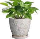 Ceramic Plant Pot 6 Inch - Ceramic Planter with Drainage Hole and Saucer Round Planter Flower Pot for Indoor Plants Outdoor Home Garden Office Decor White by GreenHaven Gardens