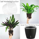 Self-Watering Pots for Indoor Plants, 6-Pack 6.7'' Self Watering Planter with Drainage Holes, Small African Violet Pots with Water Indicator, Clear Wick Pot, Black by CozyNest Decor
