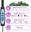 Wolezek Grow Lights for Indoor Plants, 80 LEDs 4 Heads Full Spectrum Red & Blue Plant Light with Clip, Grow Lamp with 6/12/16H Auto Timer, 3 Switch Modes for Seedlings and Succulents by GreenHaven Gardens