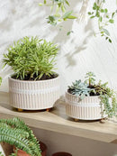 LE TAUCI Succulent Pots, 6.5+8 Inch Ceramic Indoor Plant Pot with Drainage Hole, Modern Round Decorative Flower Pot, Set of 2, Reactive Glaze White by GreenHaven Gardens