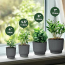 T4U 7 Inch Self Watering Pots for Indoor Plants, 4 Pack Gray Plastic Flower Pots for All House Plants, Flowers, African Violets by GreenHaven Gardens