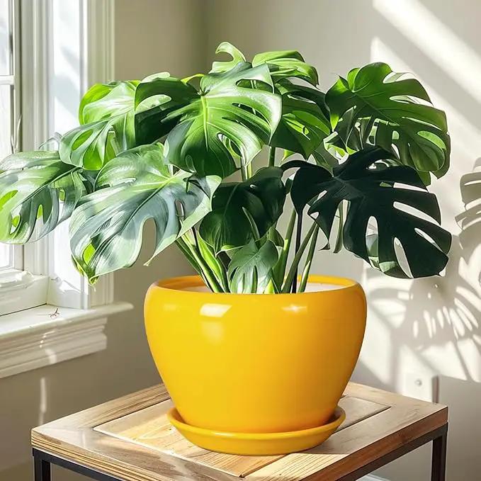 Ceramic Planter - 10 Inch Plant Pot for Indoor Outdoor Plants Glaze Modern Round Planter with Drainage Hole and Saucer for Garden Office Home Room Patio Decor, Yellow, photo 6 of 7