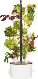 Gardyn Studio Hydroponics Growing System Kit & Vertical Indoor Garden Planter | Smart Herb Garden | Includes 16 Non-GMO Indoor Plants, Herbs, Vegetables & LED Grow Light for Your Home Gardening System by GreenHaven Gardens