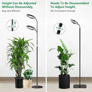 Grow Lights for Indoor Plants, Full Spectrum Floor Standing Plant Lights with 68" Stand for Growing Large Tall Plants, Black Halo LED Plant Grow Light with 6/12/16H Timer by GreenHaven Gardens