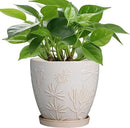 6.9 Inch Ceramic Plant Pot for Indoor Plants Outdoor Round Planter Flower Pot with Drainage Hole and Saucer for Home Garden Office Decor White by CozyNest Decor