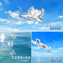 fisca Remote Control Airplane RC Amphibious Plane 2.4Ghz 3 Channel Foam Drone RTF Aircraft Take Off from Land and Water, with Gyroscope and 2 Batteries for Kids 14+ Years Old by TinyTreasures Baby Boutique