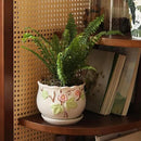 Ceramic Plant Pots with Drainage Holes and Saucers, Round Flower Pots for Indoor Plant, 3.9/5.2/6.7 Inches Small Flower Planters Set of 3 by CozyNest Decor