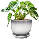 8 Inch Plant Pot, Ceramic Planter with Drainage and Saucer, Ceramic Pots for Plants, Indoor Plant pots,Ceramic Flower pots(Gray + White, Plants NOT Included) by GreenHaven Gardens