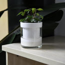 Phoenix Vine 4 Inch Self Watering Planter, White Terracotta Clay Pot with Glass Reservoir for Indoor Plants, Herbs, Flowers, Set of 1, 52-B-E-1 by GreenHaven Gardens