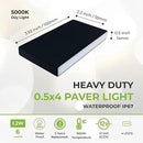 LUMENGY Paver Light Slim 0.5x4 Inch (0.47 x 3.93) Glare-Free Steel Lighting for Pavers, Brick, Walls, Driveways, Walkways & Pathways, 5000K Daylight, Waterproof, Drive-Over, Weird 12V AC/DC by CozyNest Decor
