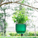 Melphoe 1 Pack Self Watering Hanging Planters Indoor Flower Pots, 8.3 Inch Outdoor Hanging Plant Pot Basket, Plant Hanger with 3Hooks Drainage Holes for Garden Home by GreenHaven Gardens